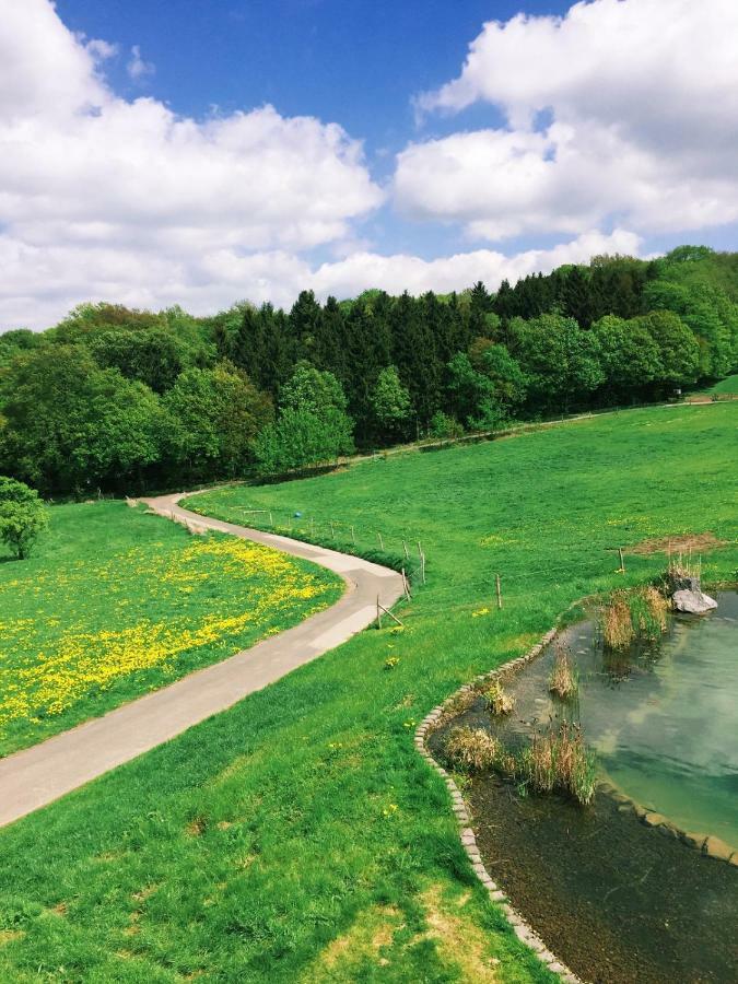 N8Quartier Eifel Leilighet Bad Muenstereifel Eksteriør bilde